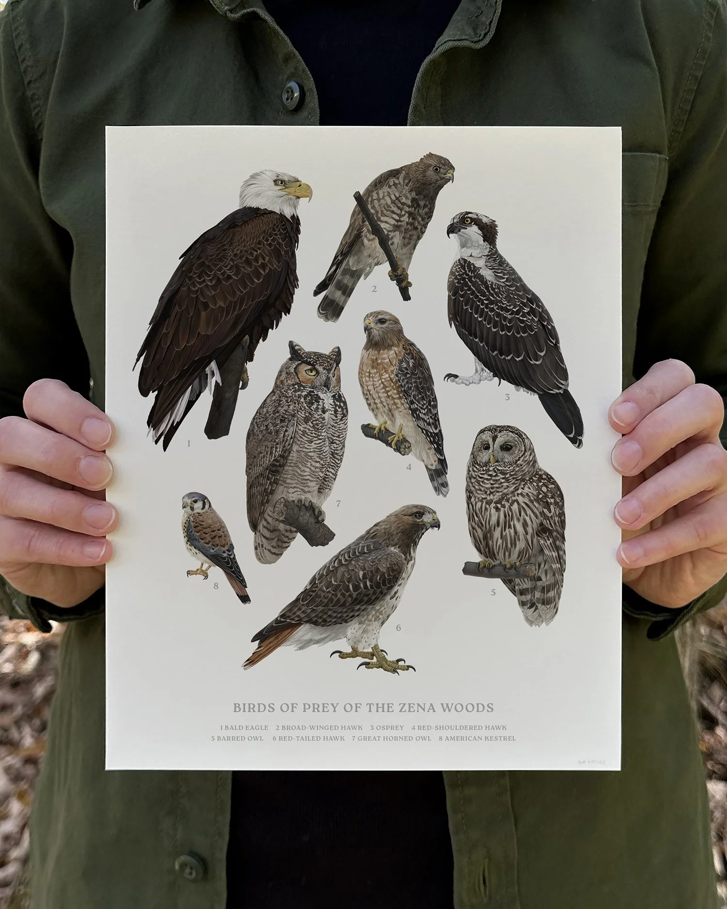 Store — Zoe Keller Nature Art